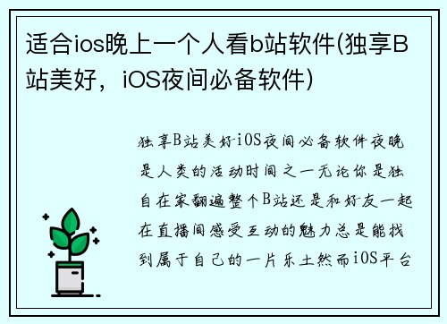 适合ios晚上一个人看b站软件(独享B站美好，iOS夜间必备软件)
