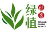 蒯桂月